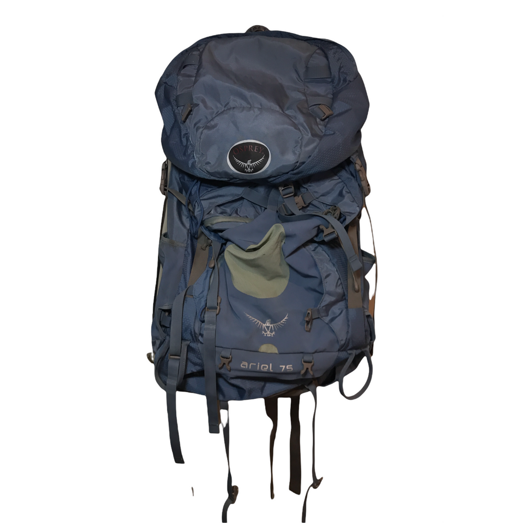 osprey ariel 75l backpack Pro Women's Backpacking Backpack, Silver Lining, WXS/WS : Sports & Outdoors litre pack designed for backpackers Osprey Women's Ariel Pro 75